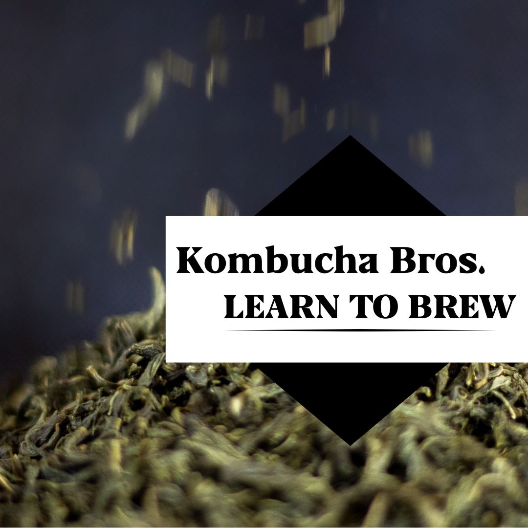 Digital product creations for Kombucha Bros - Tea visual